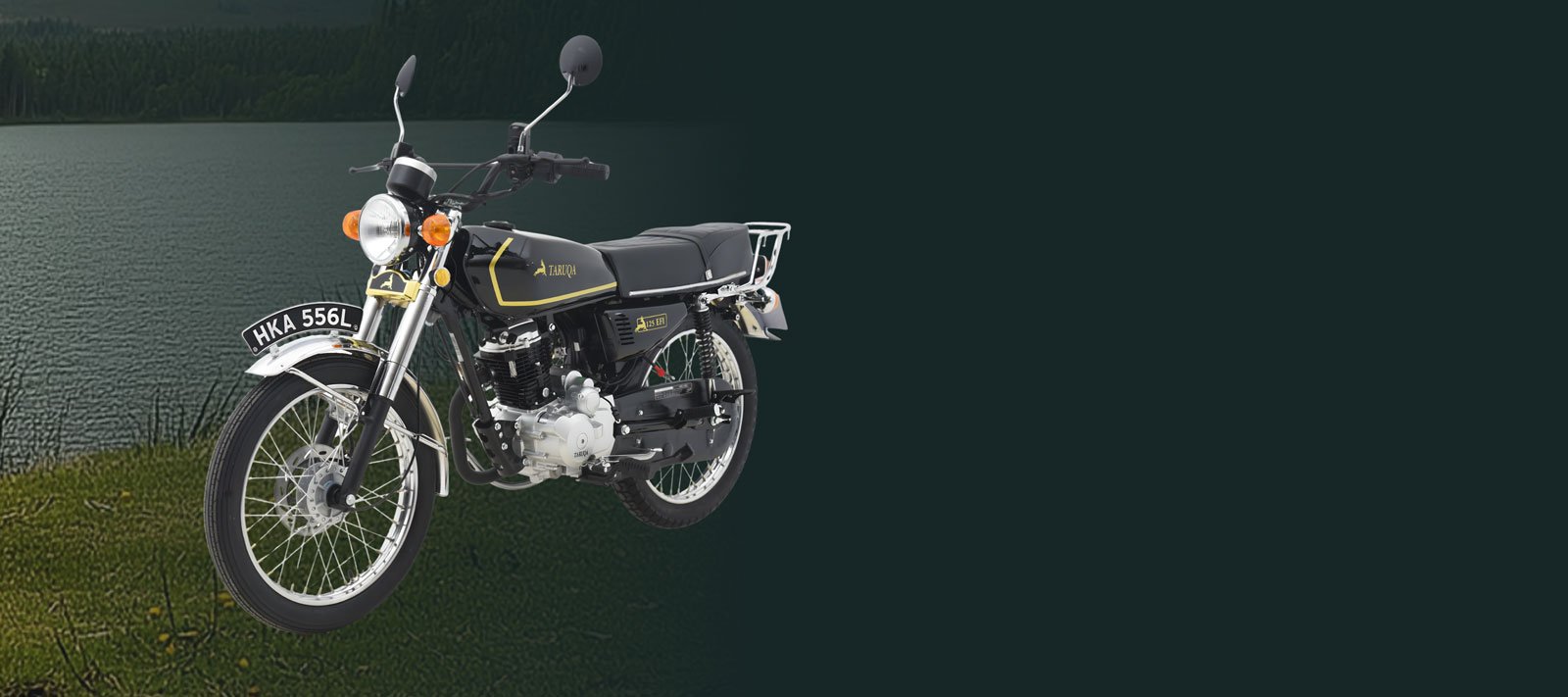 FOTO-CARACTERÍSTICASV2NEGRA