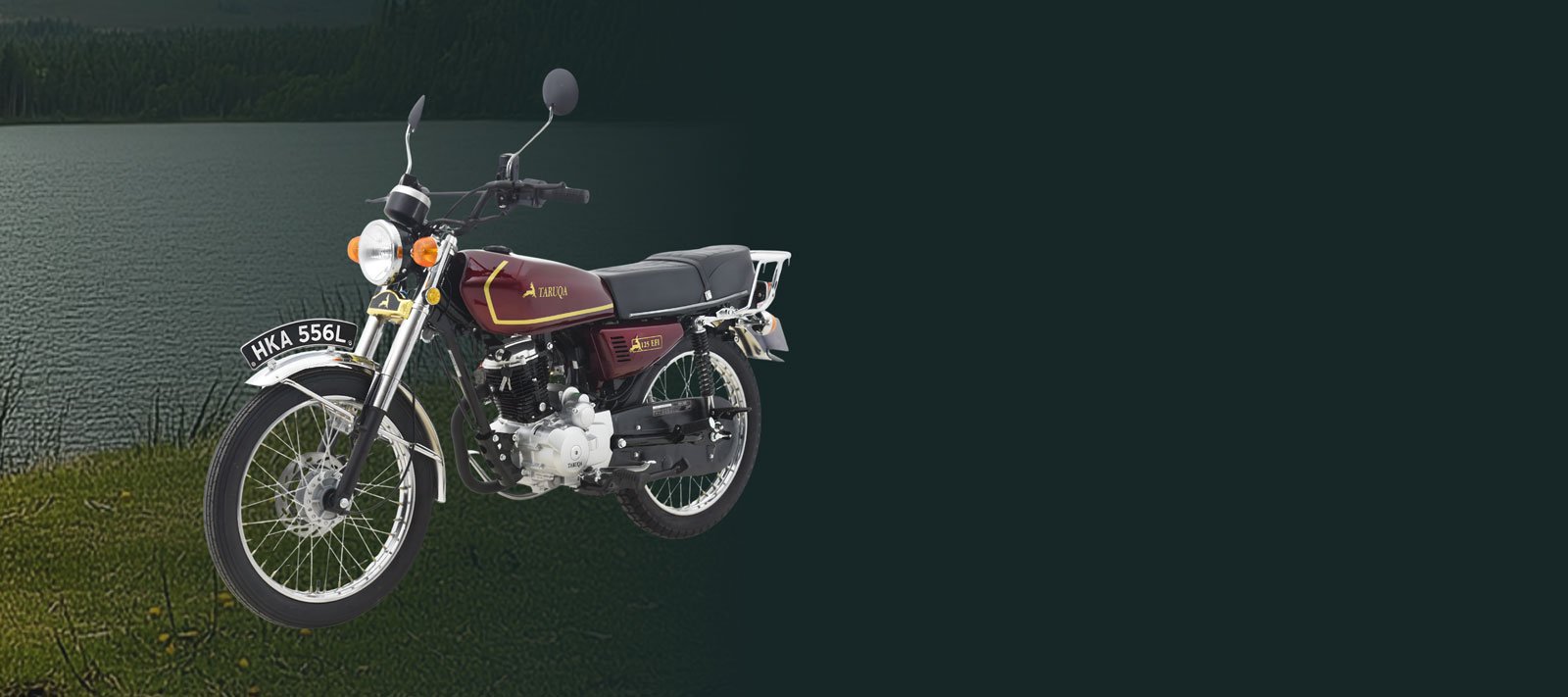 FOTO-CARACTERÍSTICASV2ROJA